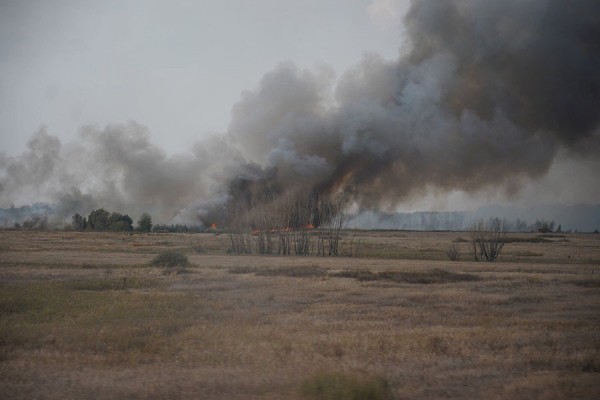 Огонь перешел реку: пожар из села Гвардейцы угрожает Бузулукскому сосновому бору 