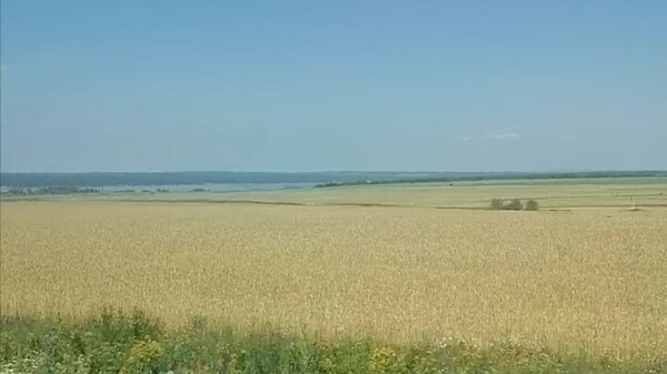  +40&deg;C и гроза: в Самарской области синоптики обновили прогноз погоды