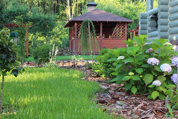 Жара до +30 без осадков: все о погоде в выходные в Самарской области 