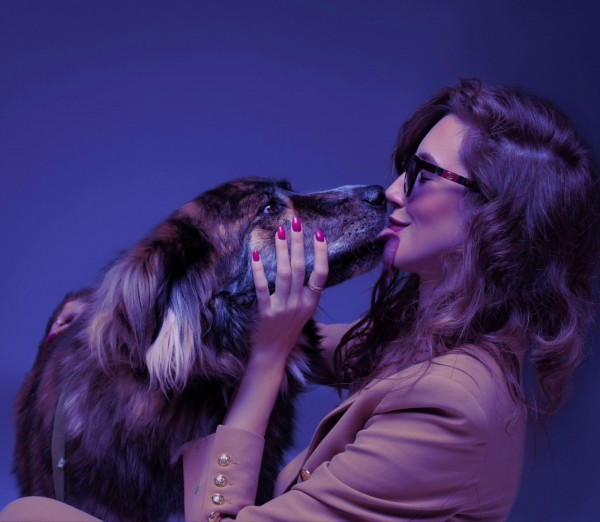 &laquo;Спасти Муму&raquo;: в Самаре рассказали, как гуманно решить проблему бездомных животных