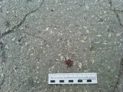 В Автозаводском районе Тольятти произошло убийство В Автозаводском районе Тольятти произошло убийство