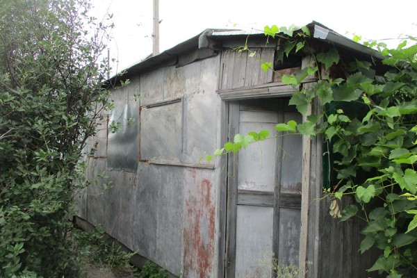 Под Тольятти полицейские накрыли плантацию из 25 кустов конопли 