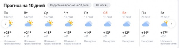 Неожиданные +25. Синоптики рассказали, сколько продержится аномальная погода в Самарской области