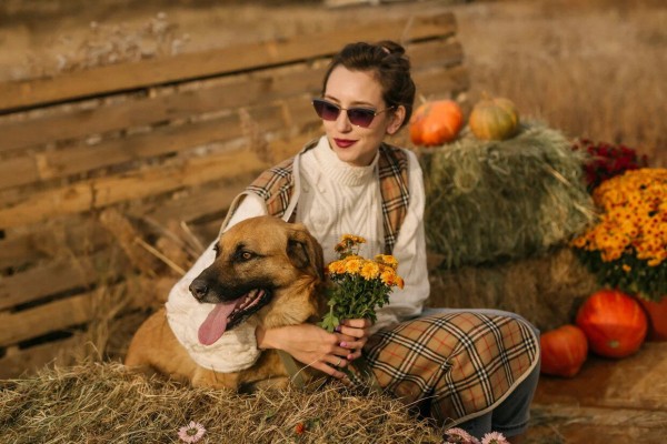 &laquo;Спасти Муму&raquo;: в Самаре рассказали, как гуманно решить проблему бездомных животных