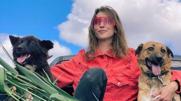 &laquo;Спасти Муму&raquo;: в Самаре рассказали, как гуманно решить проблему бездомных животных