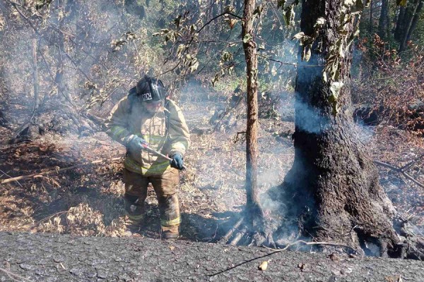 В Тольятти нашли предполагаемого поджигателя леса 