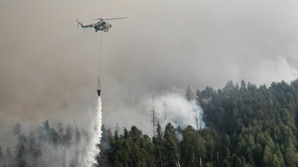В Мордовии 26 августа 2021 года горит около 10 гектаров леса