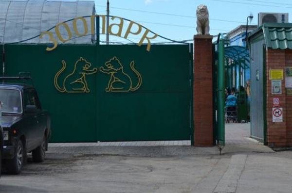 Зоопарк Самары может не получить лицензию из-за выявленных недостатков