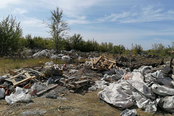 На свалке у Смышляевского шоссе не нашли трупы животных 