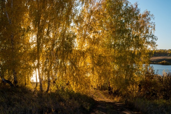 До 13 октября синоптики обещают в Самарской области «бабье лето» - потеплеет до +17 градусов До 13 октября синоптики обещают в Самарской области «бабье лето» - потеплеет до +17 градусов