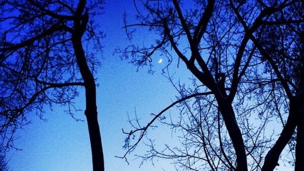 Козерогам нужны романтические отношения, а близнецам нельзя забывать о здоровье: гороскоп на 20 ноября 2021