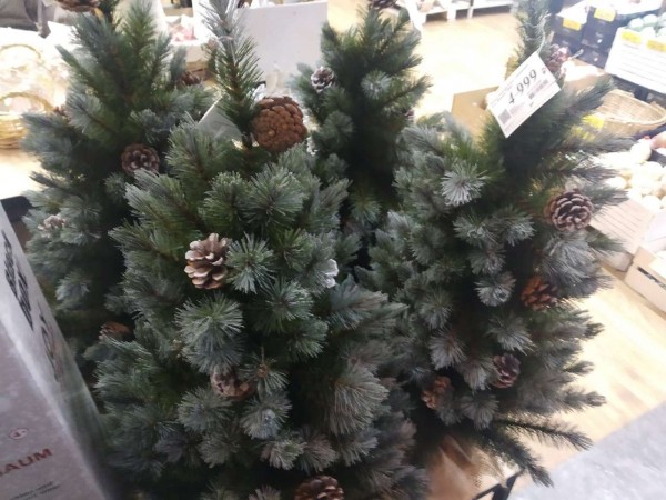 &laquo;Еще не поздно&raquo;: рассказываем, где и за сколько купить и украсить елку в Самаре