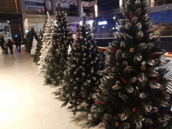 &laquo;Еще не поздно&raquo;: рассказываем, где и за сколько купить и украсить елку в Самаре