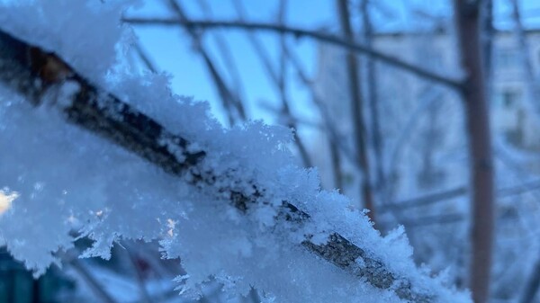 Синоптики рассказали, когда лютые -30&deg;C выморозят Самарскую область