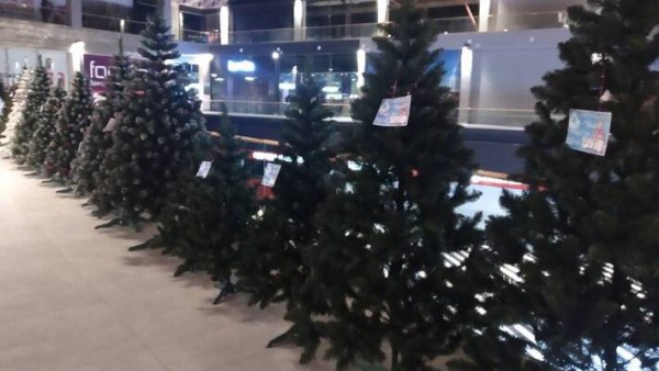 &laquo;Еще не поздно&raquo;: рассказываем, где и за сколько купить и украсить елку в Самаре