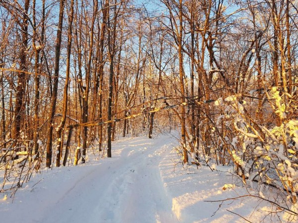 &laquo;Количество людей неважно&raquo;: молодая девушка из Самары рассказала, чем занимаются студенты в горах