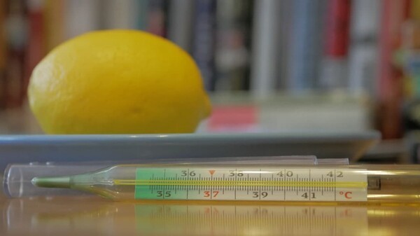 В Самарской области 23 января 2022 года коронавирус диагностировали еще 934 жителям В Самарской области 23 января 2022 года коронавирус диагностировали еще 934 жителям