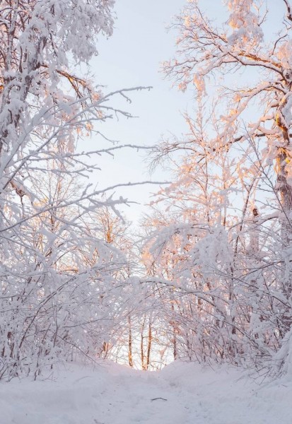 &laquo;Количество людей неважно&raquo;: молодая девушка из Самары рассказала, чем занимаются студенты в горах