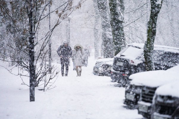   Метеоролог предупредил россиян о надвигающемся "погодном цунами" 