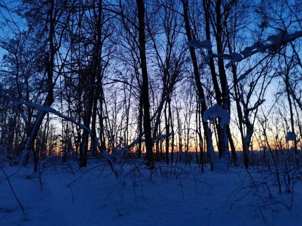 &laquo;Количество людей неважно&raquo;: молодая девушка из Самары рассказала, чем занимаются студенты в горах