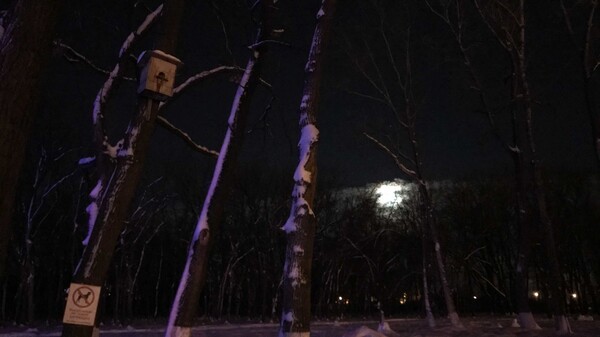 Не время тратить деньги и начинать все заново: лунный календарь на 16 февраля 2022 года