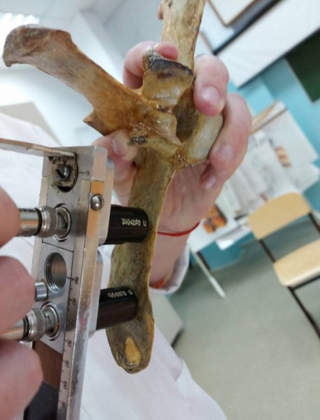 &laquo;Поможет увеличить репродуктивность&raquo;: ученый из Самары покорил весь мир своим прибором