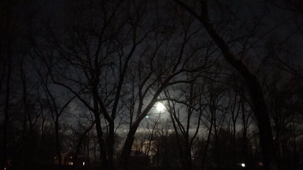 На кухне у каждого есть источники беды: лунный календарь на 6 февраля 2022 года