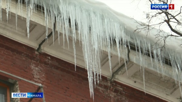Самарцы пожаловались на горы нечистот во дворах