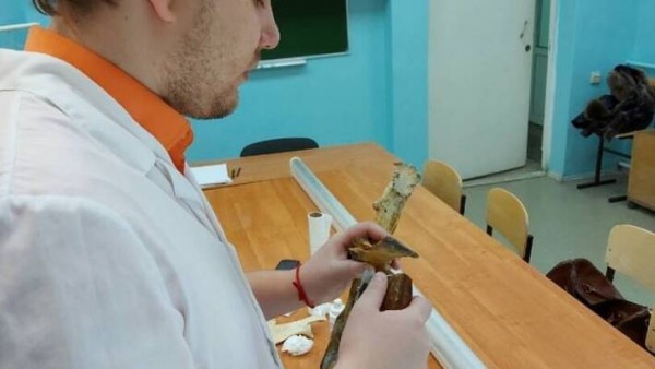 &laquo;Поможет увеличить репродуктивность&raquo;: ученый из Самары покорил весь мир своим прибором