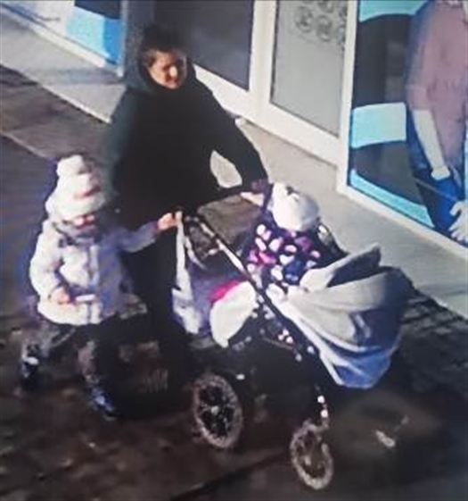 
В Тольятти женщину с двумя детьми разыскивают за кражу сумки
