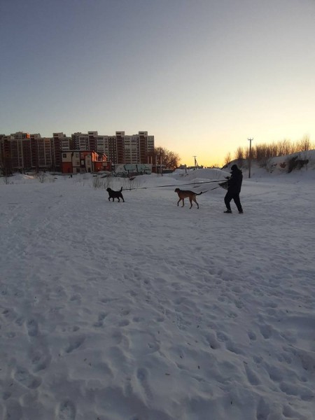 Крики, стоны и Хинштейн: что происходит вокруг скандального строительства нового ЖК на 5-й просеке в Самаре