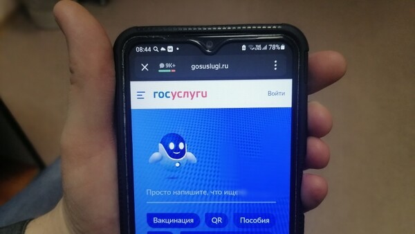 В Самарской области аферисты воруют профили граждан на Госуслугах