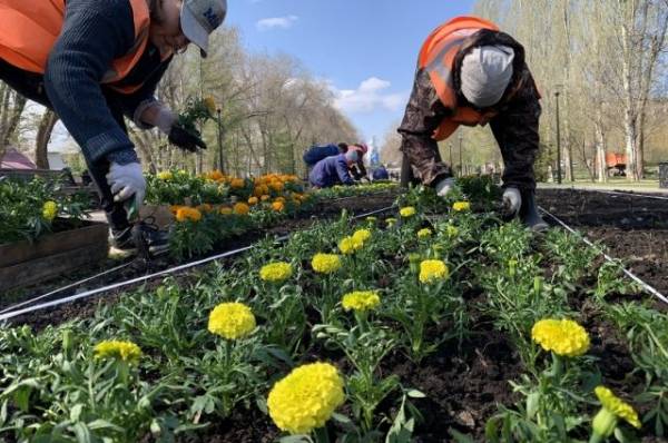 1 апреля в Самаре стартует месячник по благоустройству и озеленению