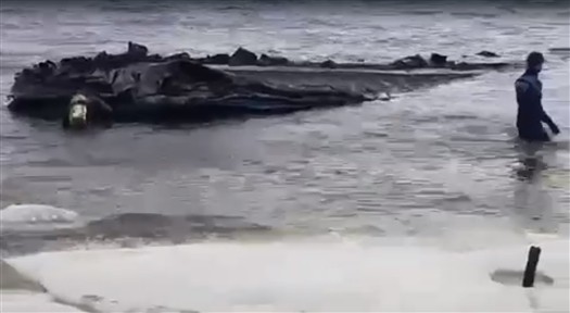 На Волге перевернулось судно на воздушной подушке
На Волге перевернулось судно на воздушной подушке