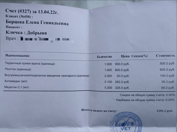 &laquo;Сломали лапу и сказали, что так и было&raquo;: в Самарской области после плановой операции кот остался инвалидом