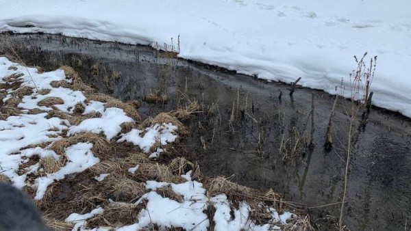 В Самарской области 5 и 6 апреля 2022 года похолодает до -7 градусов и пройдет дождь