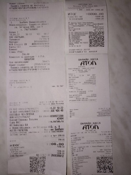 &laquo;Сломали лапу и сказали, что так и было&raquo;: в Самарской области после плановой операции кот остался инвалидом