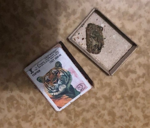 
В Самарской области подведены итоги первого этапа общероссийской акции "Сообщи, где торгуют смертью"
