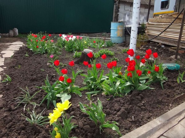 Стало известно, поднимут ли цены на дачные поездки в Самаре в 2022 году