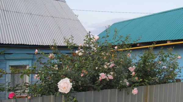 Стало известно, поднимут ли цены на дачные поездки в Самаре в 2022 году