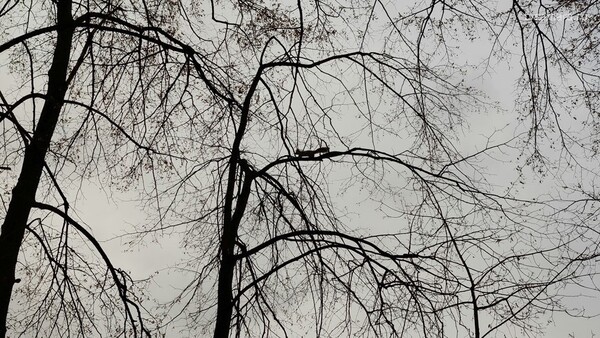 Самарцам спрогнозировали новый катаклизм, штрафы для дачников 2022 и закрытие трассы М-5 &laquo;Урал&raquo;: главные новости Самарской области за 1 апреля