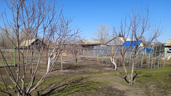 Стал известен лучший день для первых майских посадок