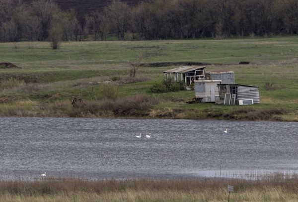 В Самарской области обнаружены вымирающие виды животных В Самарской области обнаружены вымирающие виды животных
