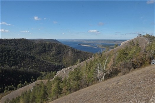 
Экс-директору нацпарка "Самарская Лука" запросили семь лет лишения свободы
