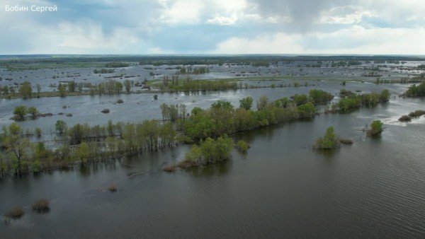 В Кировском районе река Самара вышла из берегов