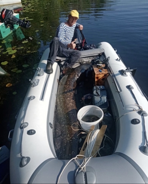 Самарец поймал 100-килограммового сома 